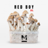 Red Boy Extra Large Magic Mushroom Growkit