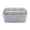 Short Dated Magic Mushroom Grow Kit