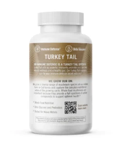 Turkey Tail Mushroom Capsules