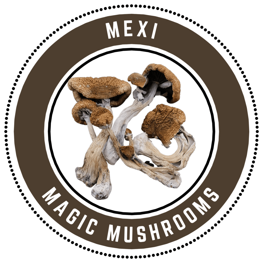 Magics Mushroom Kaufen